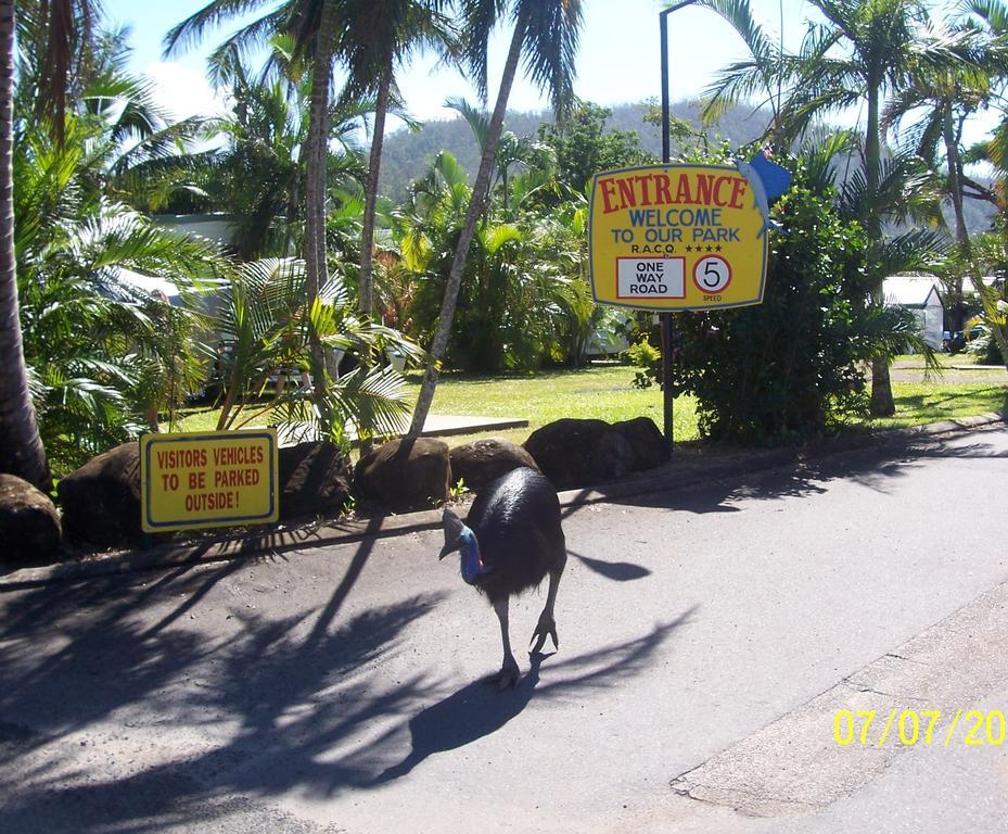 Flying Fish Point Tourist Park Hotell Innisfail Exteriör bild