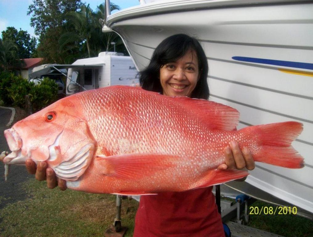 Flying Fish Point Tourist Park Hotell Innisfail Exteriör bild