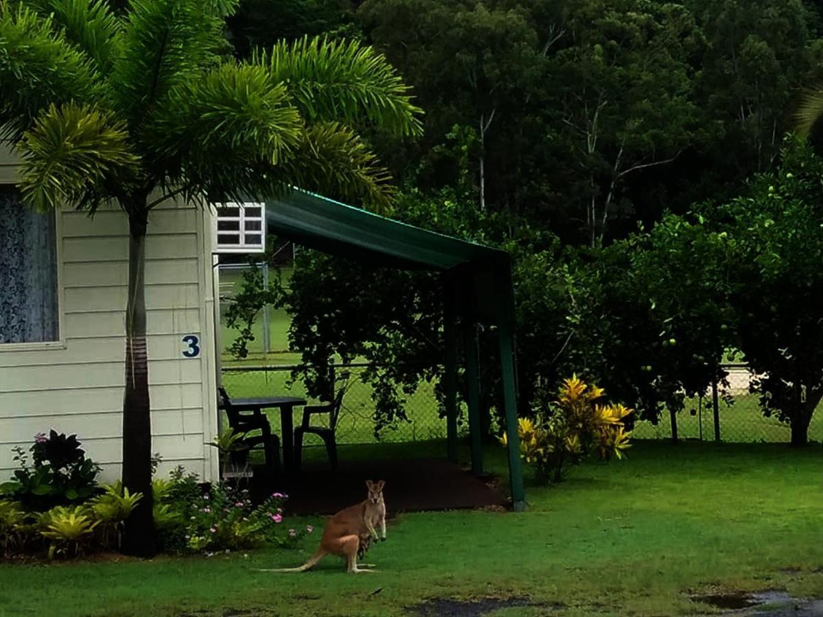 Flying Fish Point Tourist Park Hotell Innisfail Exteriör bild